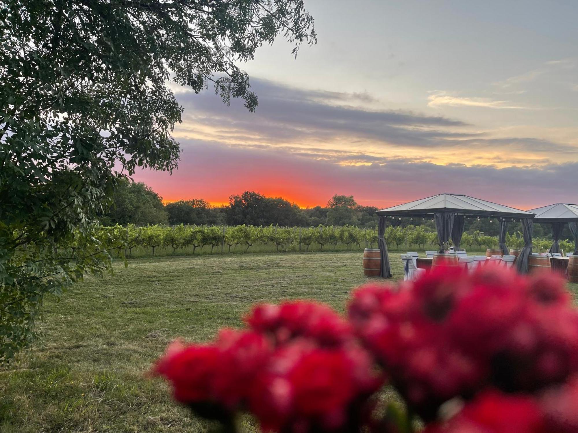 Bordeaux Chateau Lafleur キンサック  エクステリア 写真